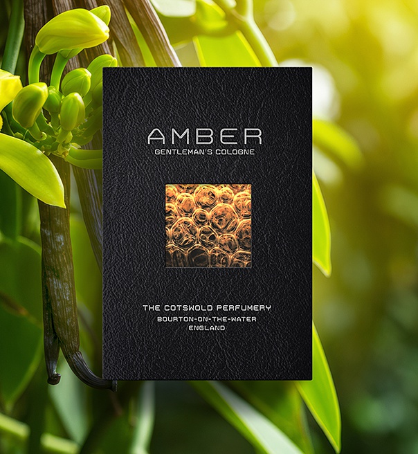 Amber Cologne
