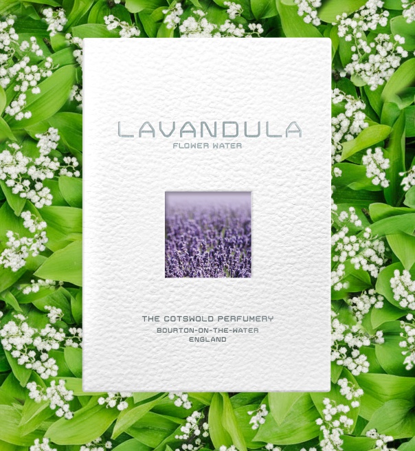 Lavandula Flower Water
