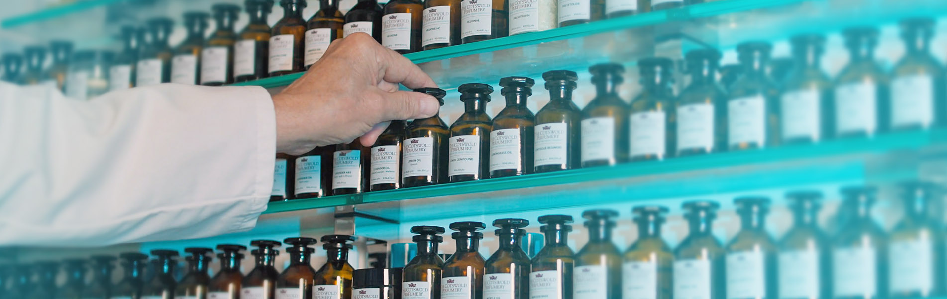 Chief Perfumer Mentoring John Stephen