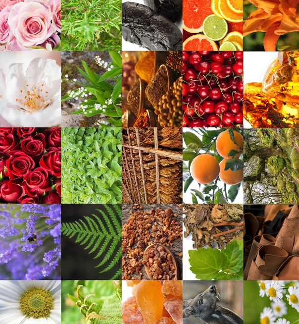 Raw Materials